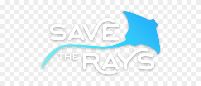 Working To Ban Killing Contests On The Chesapeake Bay - Tampa Bay Rays #734078