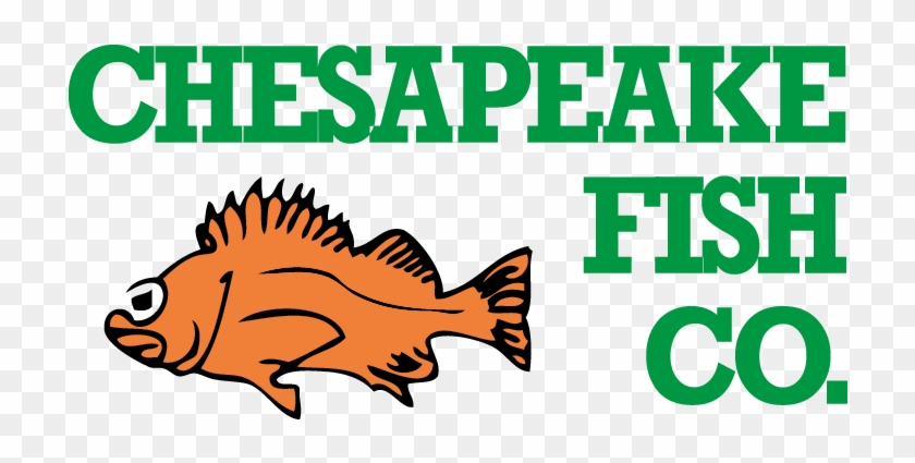 Chesapeake Fish Co - Kiwi Experience #734095