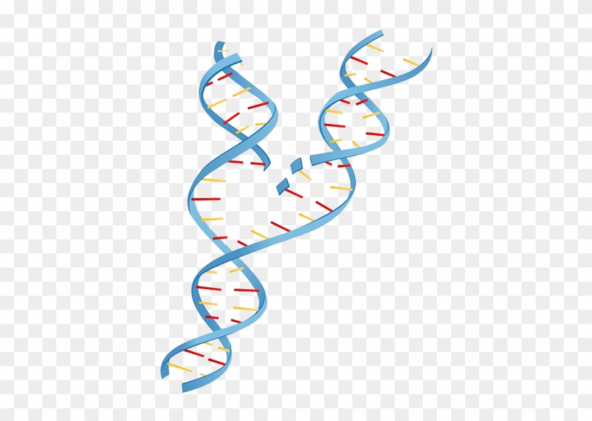 Dna Testing Louisiana - Heredity #734130