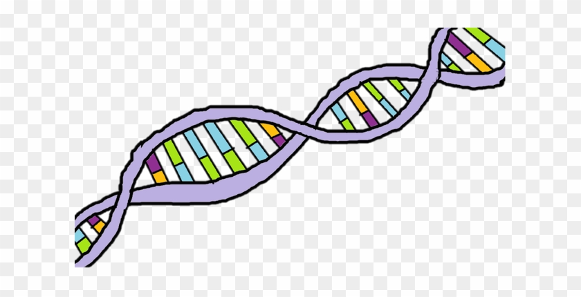 All Cells Give Rise To New Cells Through Dna Replication - All Cells Give Rise To New Cells Through Dna Replication #734136