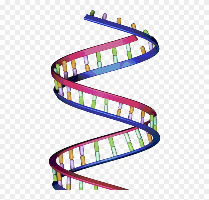 Dna Structure © Istock - Long Dna Strand #734158