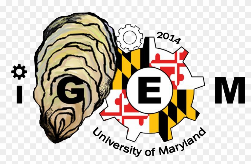 Gifts In Support Of The University Of Maryland Are - International Genetically Engineered Machine #734206