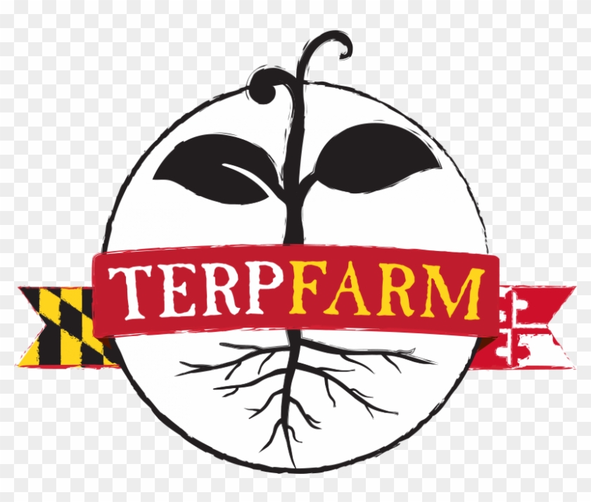 Dining Services Has Its Very Own Vegetable Farm And - Terp Farm #734267