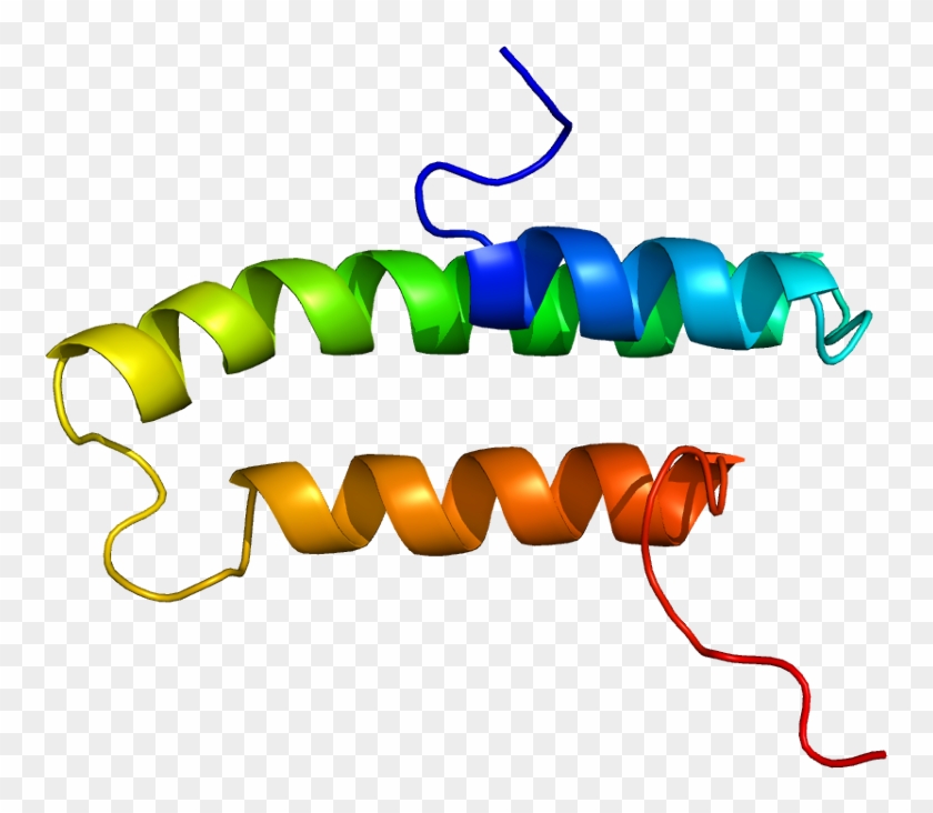 Lrpap1 Protein Structure #734378