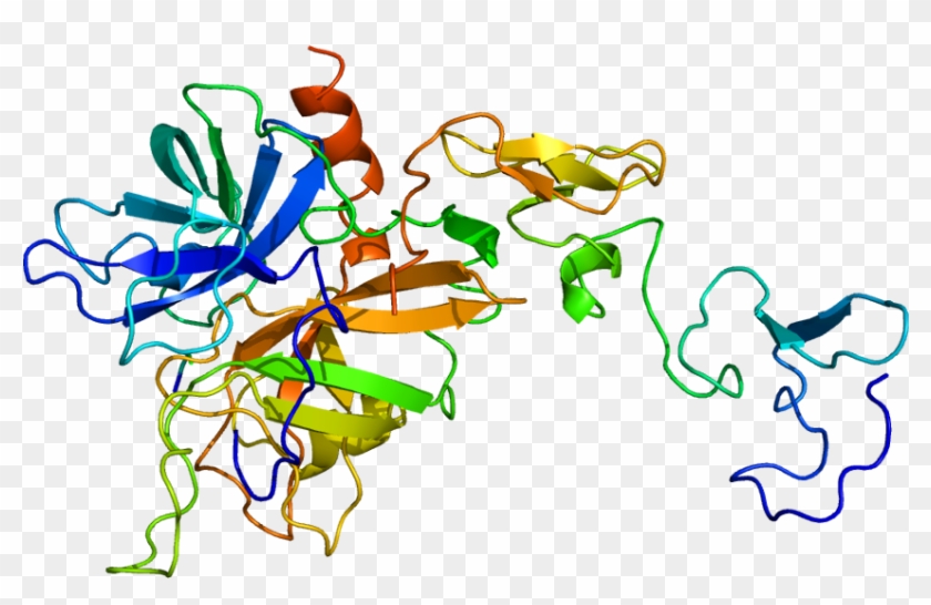 Human Activated Protein C #734401