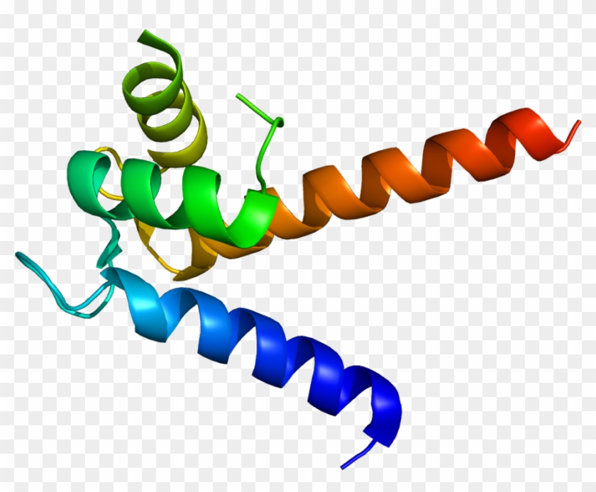 Protéine S100p Structure #734415