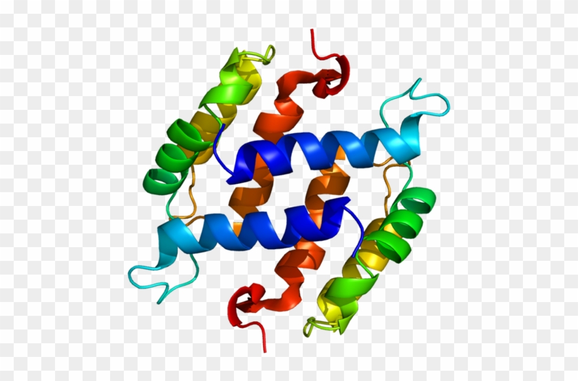 S100b - S100 Protein #734440