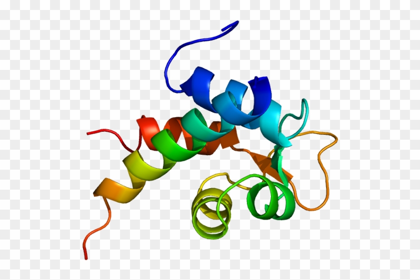Actinin Protein Structure #734442