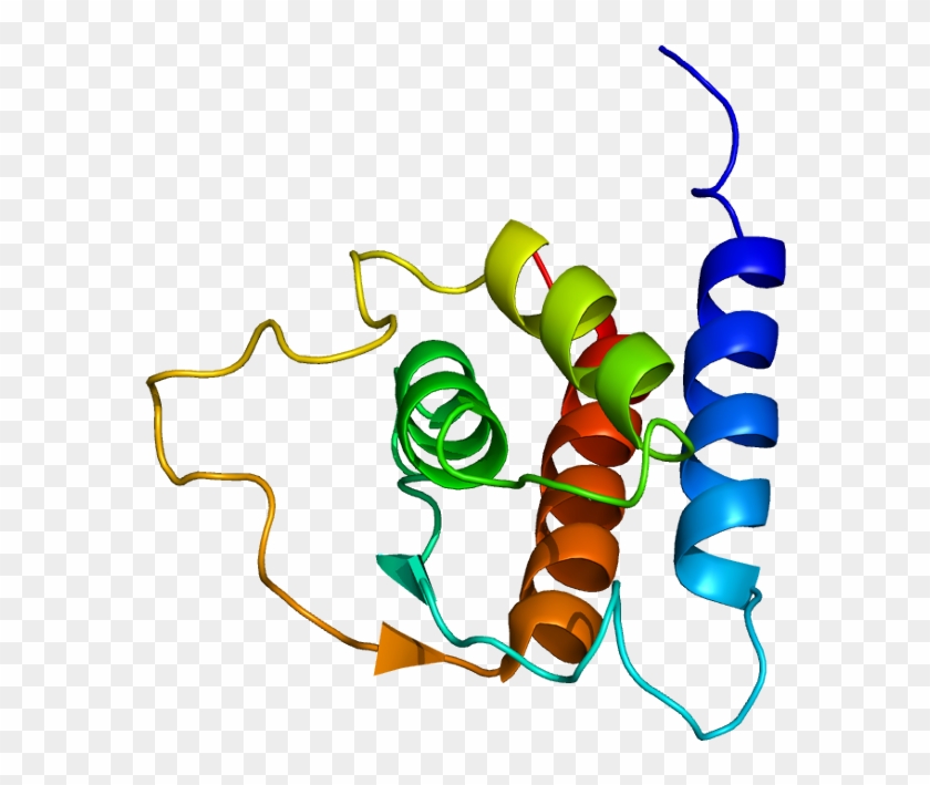 Interleukin 13 #734509