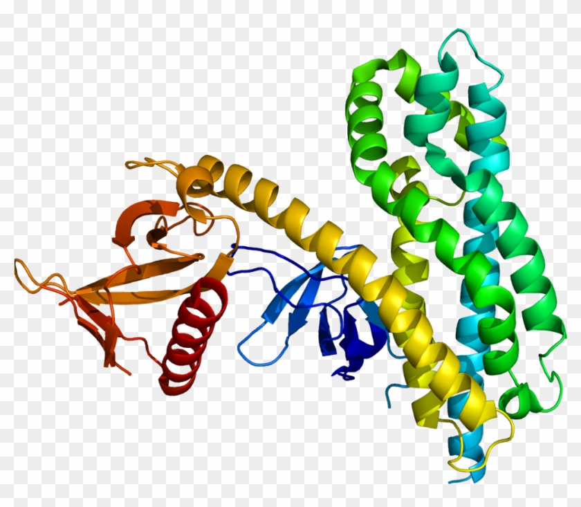Protein Arhgef4 Pdb - Protein #734591