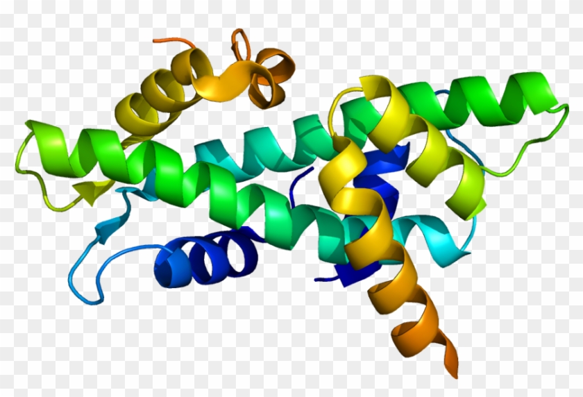 Protein Nfyb Pdb 1n1j - Tfiib 3d #734595
