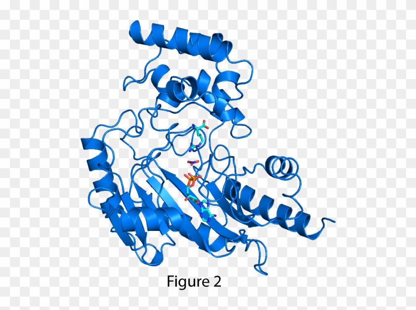 Protein #734607