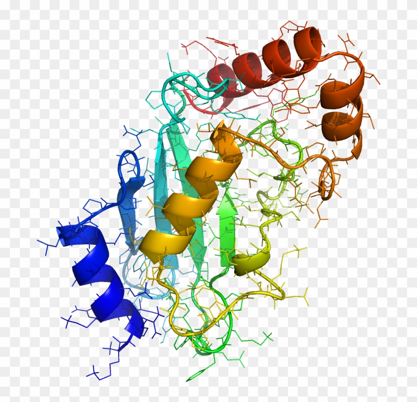 This Reaction Refers To The Post-translational Modification - Caterpillar #734612