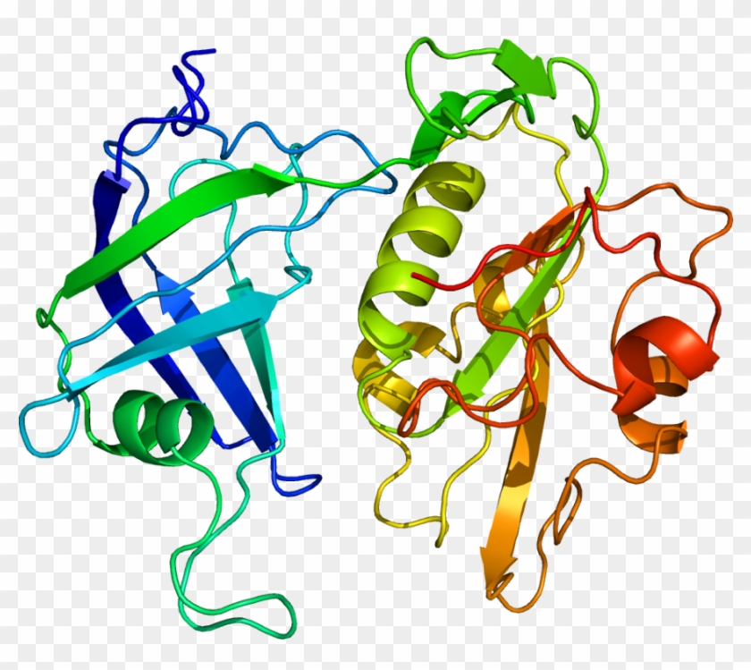 Protein Cyb5r3 Pdb 1ndh - Cyb5r3 Gene #734613