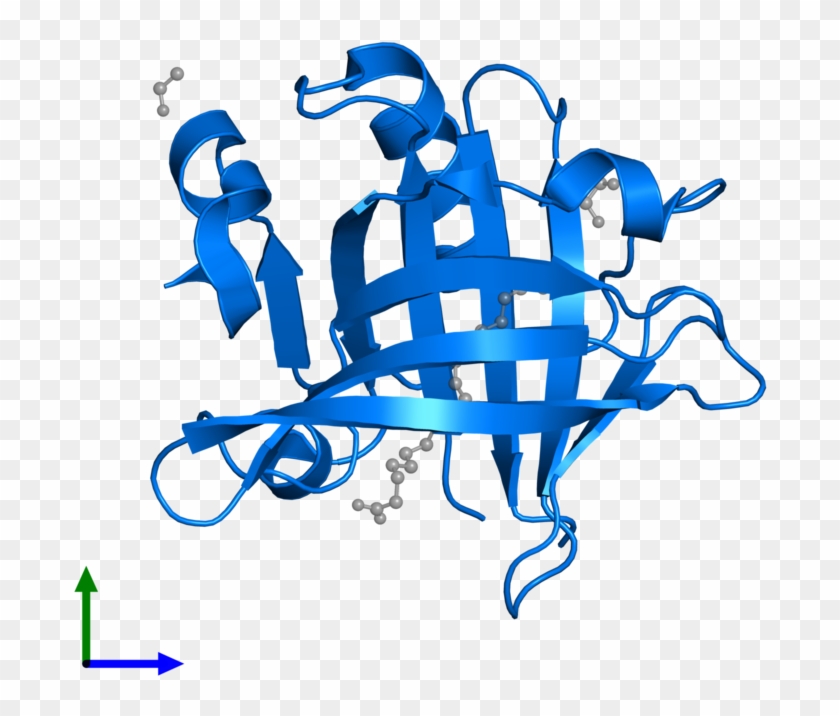 <div Class='caption-body'>pdb Entry 4dq3 Contains 1 - Β Lactoglobulina Png #734615