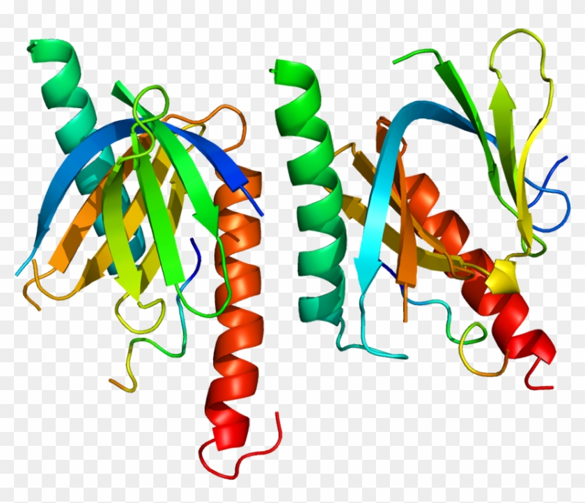 Protein Apba1 Pdb 1aqc - Protein Data Bank #734616