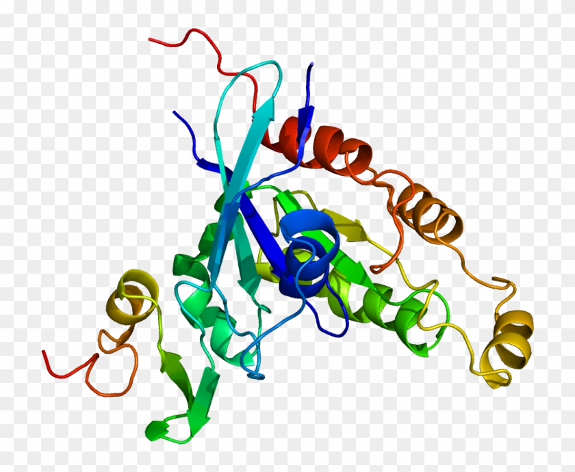 P21 Binding Domain Pak #734687