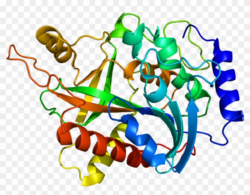 Protein Np Pdb 1m73 - Protein #734694