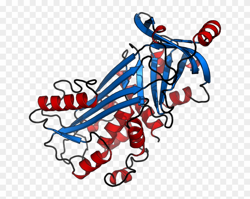 Science - Protein Structure Cartoon #734698