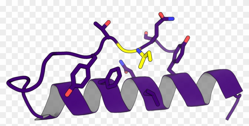 Protein Design With Rosetta - Protein Design #734851