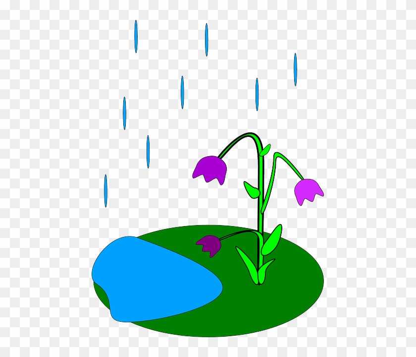 Rain On Flowers Clipart - Rain Clipart Animation #735658