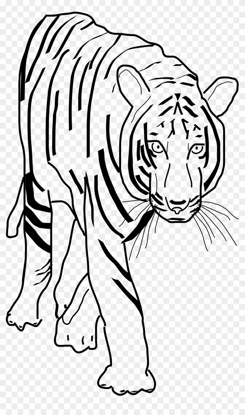 Black And White Clipart Best Beobbf Clipart Anonymous - Tiger Clipart Black And White Png #735846