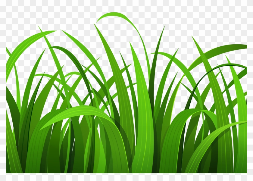 Lawn Clipart Safari - Grass Clipart #735922