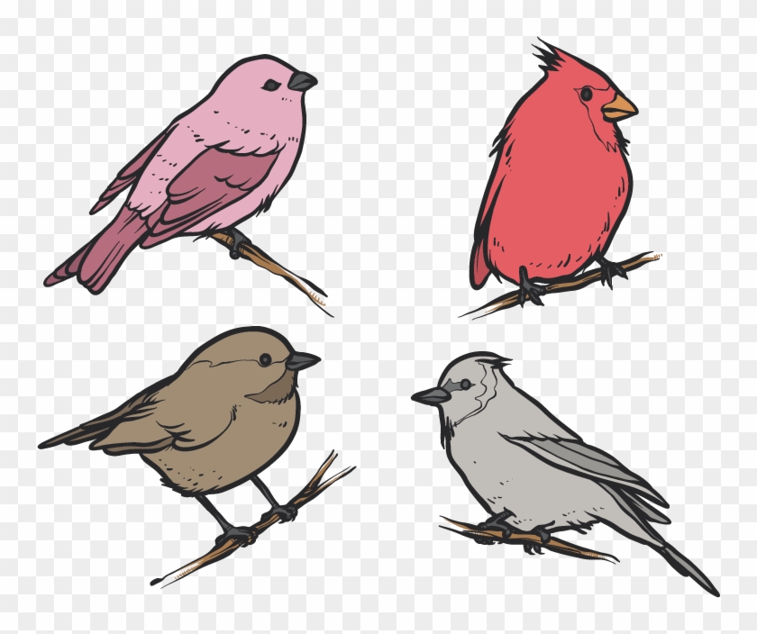 Bird House Sparrow Drawing Clip Art - Bird House Sparrow Drawing Clip Art #736969