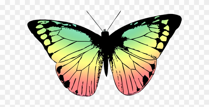 Butterfly With Soft Colored Wings - Butterfly Wing Black And White #737347