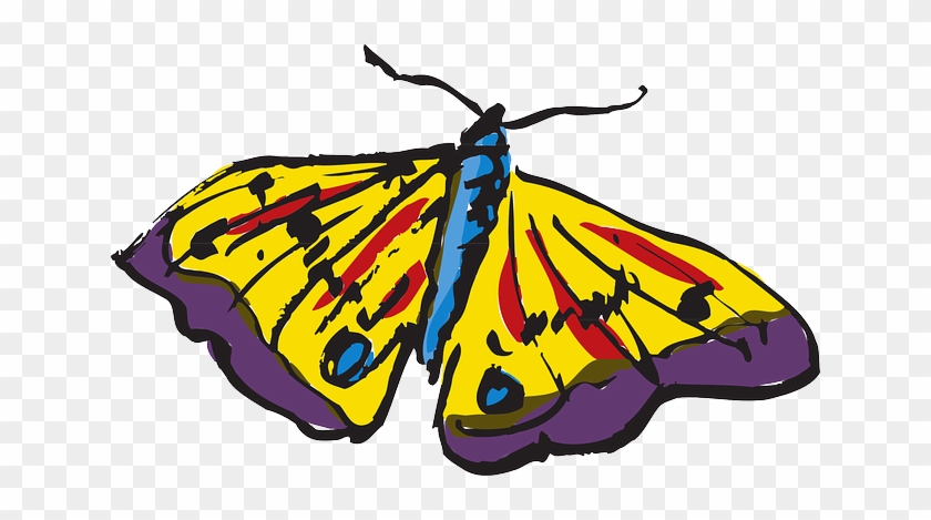 Color Butterfly, Flying, Wings, Art, Insect, Colorful, - Art #737351