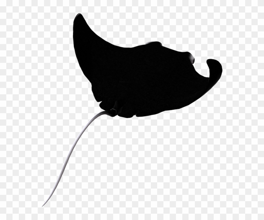 Manta Ray Clip Art Hd Walls Find Wallpapers 8xv0a6 - Manta Ray Ray Clipart #737369