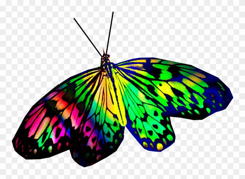 Copyright © 2018 Color Pride Creation - Skipper (butterfly) #737391