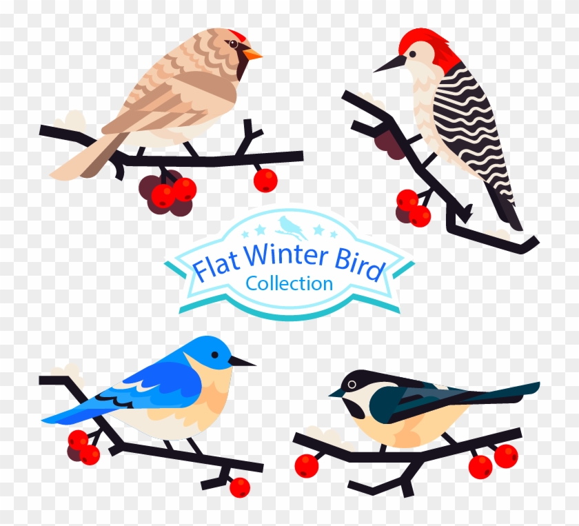 Bird Parrot Feather Clip Art - Bird Parrot Feather Clip Art #737960