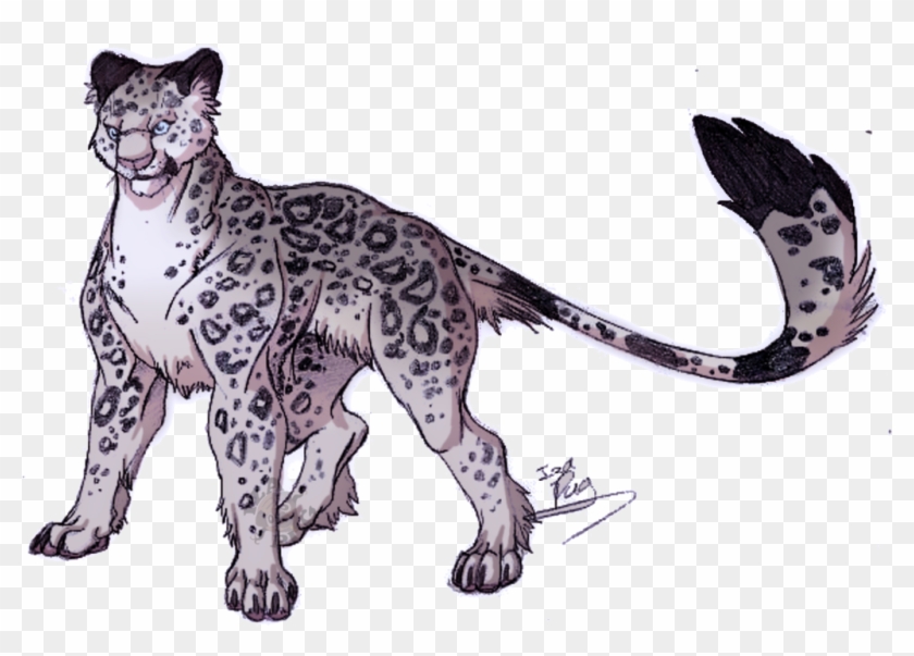 Snow Leopard By Izapug - Snow Leopard Anime Drawings #738025