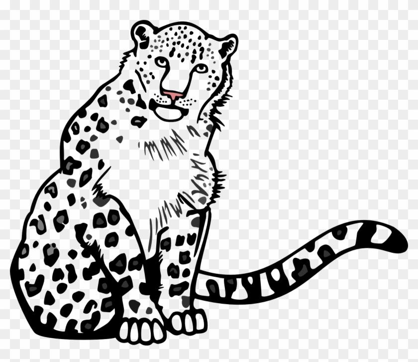 Linework Of All The Shapes - Outlines Of A Snow Leopard #738049