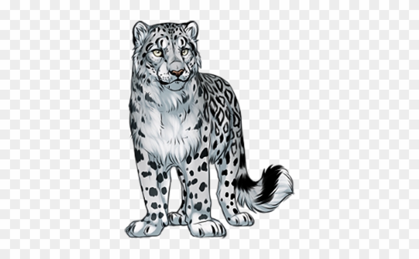 Snow Leopards Are Found At Altitudes Between 9,800 - Snow Leopard No Background #738090