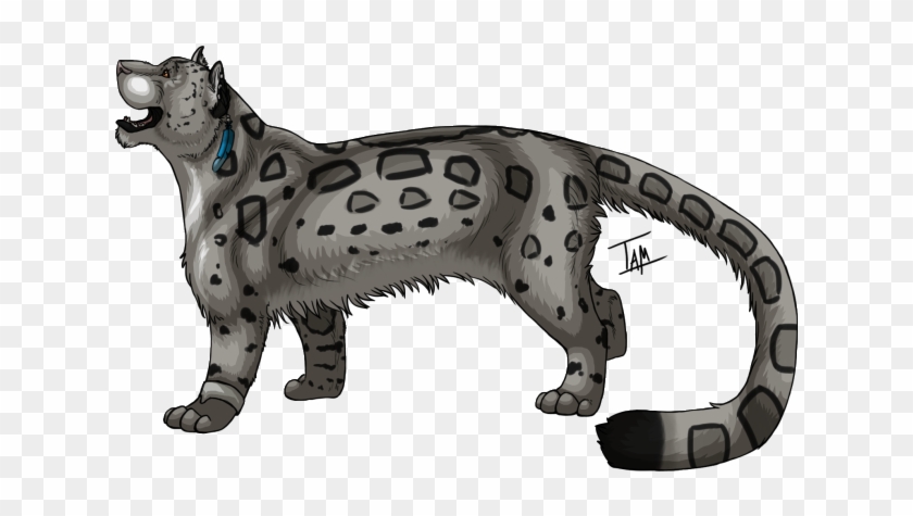 Irbis' Snow Leopard - Cat Jumps #738098