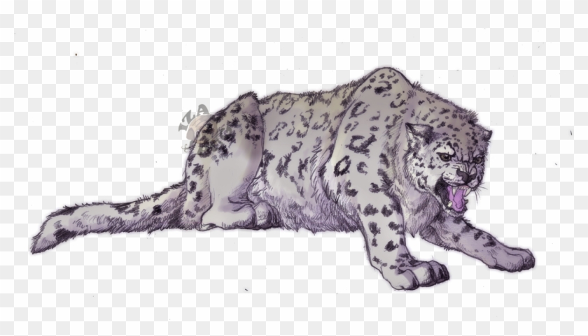 Angry Snow Leopard By Izapug On Deviantart - Drawing #738161