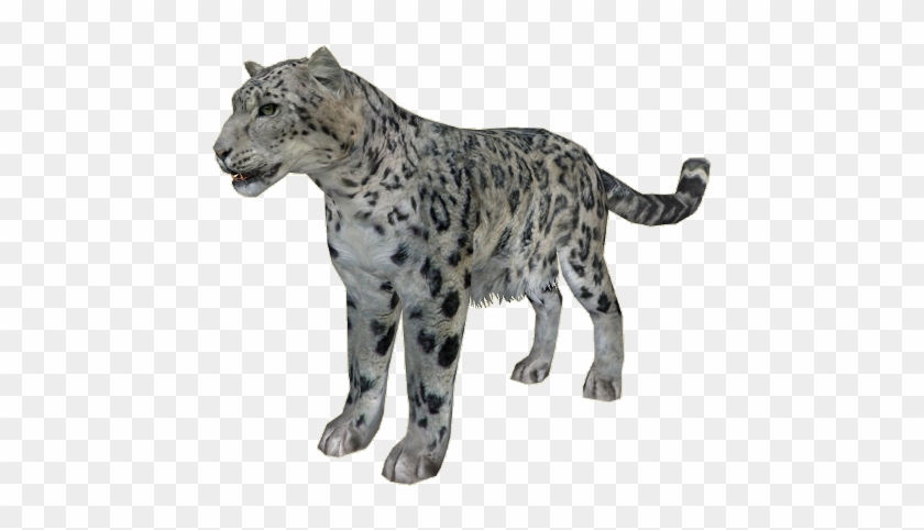 Snowleopard Ludozoo - Jaguar #738171