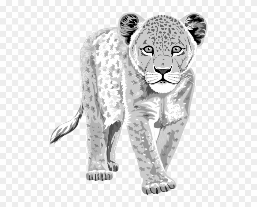 Snow Leopard Clipart Chibi - Snow Leopard Clip Art #738222