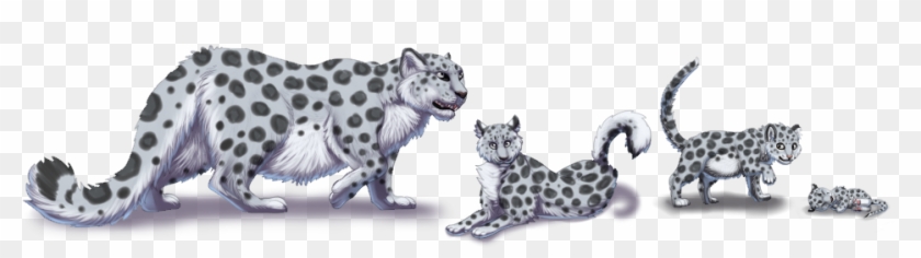 Felis Pardus 3 0 Snow Leopard - Leopard #738251