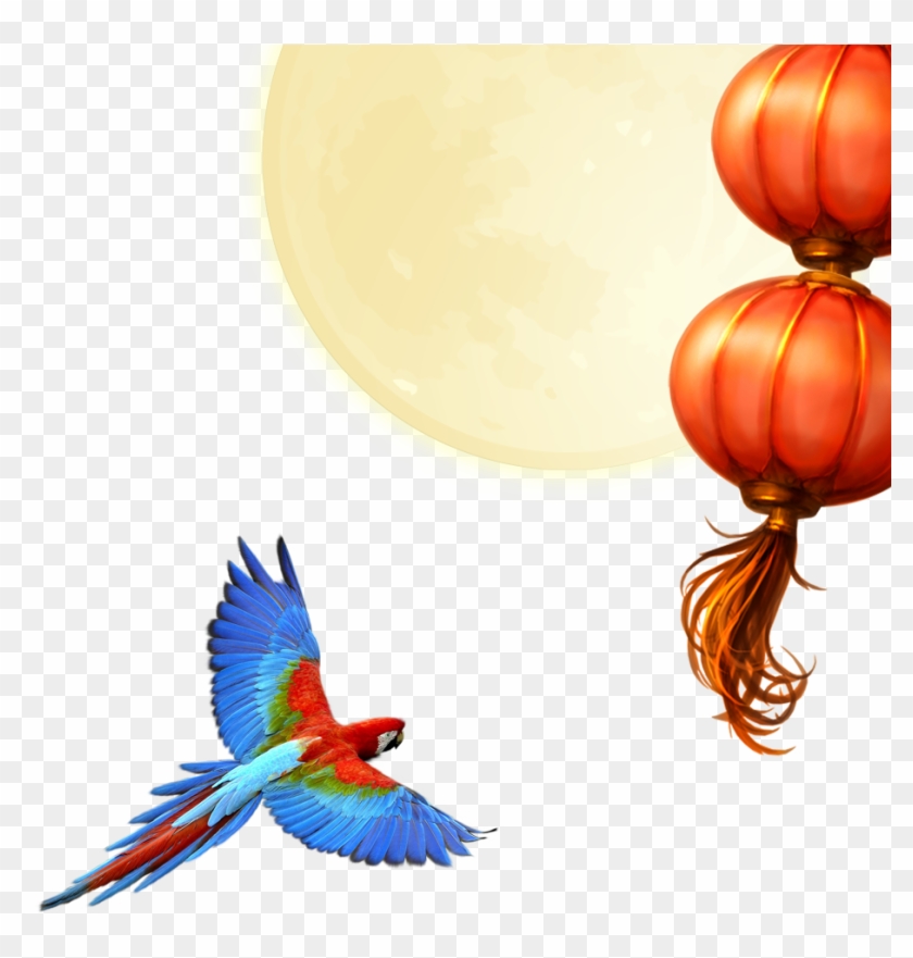 Parrot Download Clip Art - Parrot Download Clip Art #738481