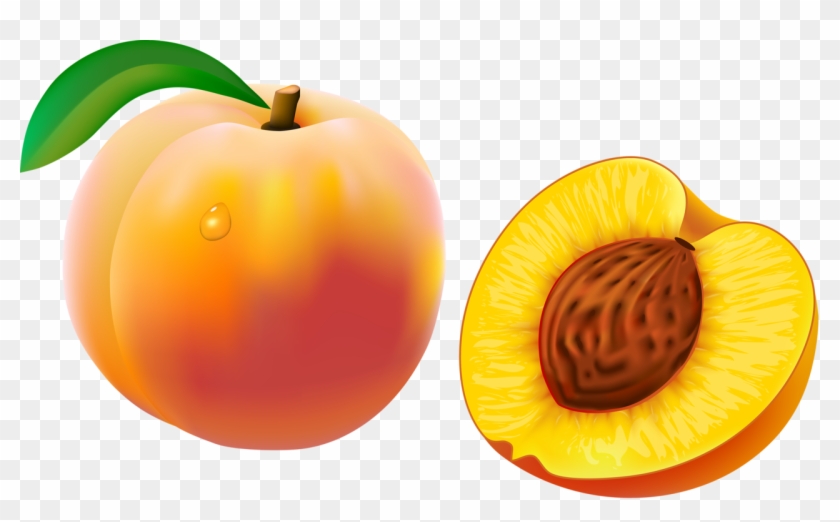 Cartoon Picturefruit Legumeclip Artalbumvegetables - Peach Cartoon Png #738752
