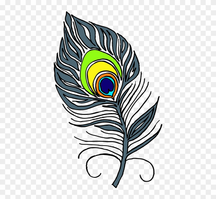 Feather Bird Peafowl Clip Art - Feather Bird Peafowl Clip Art #738954