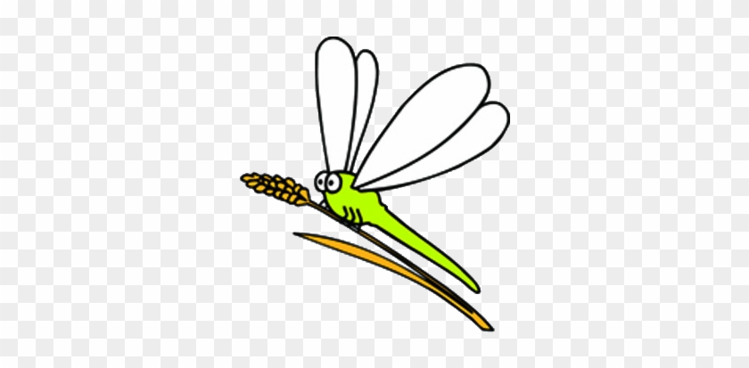 Insect Dragonfly Illustration - Insect Dragonfly Illustration #739156