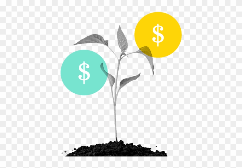 التمويل المتناهي الصغر - Planting A Seed #739238