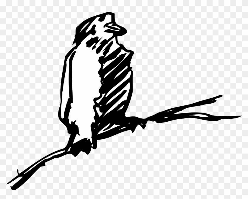 Bird Beak Clip Art - Bird Beak Clip Art #739400