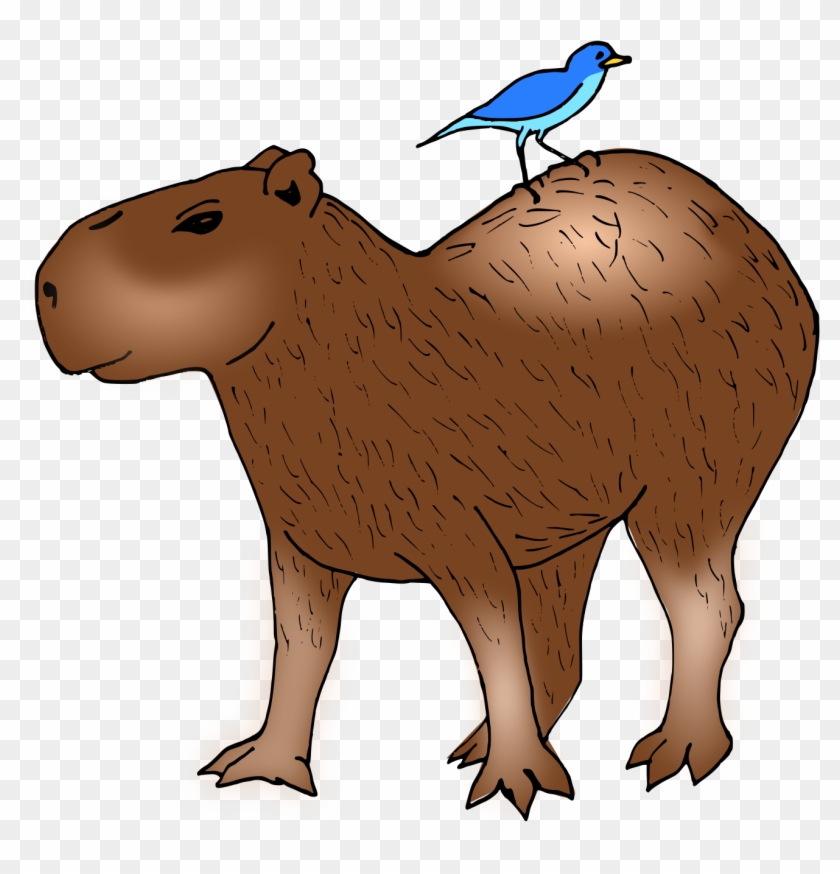 Capybara Hamster Rodent Guinea Pig Clip Art - Capybara Hamster Rodent Guinea Pig Clip Art #739441