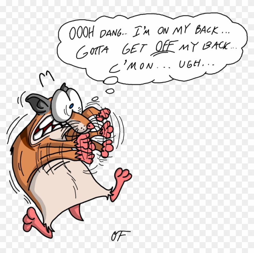 Hamster On Its Back By Lotusbandicoot - Cartoon #739539
