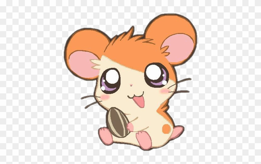 Hamster Happy GIF - Hamster Happy Anime - Discover & Share GIFs